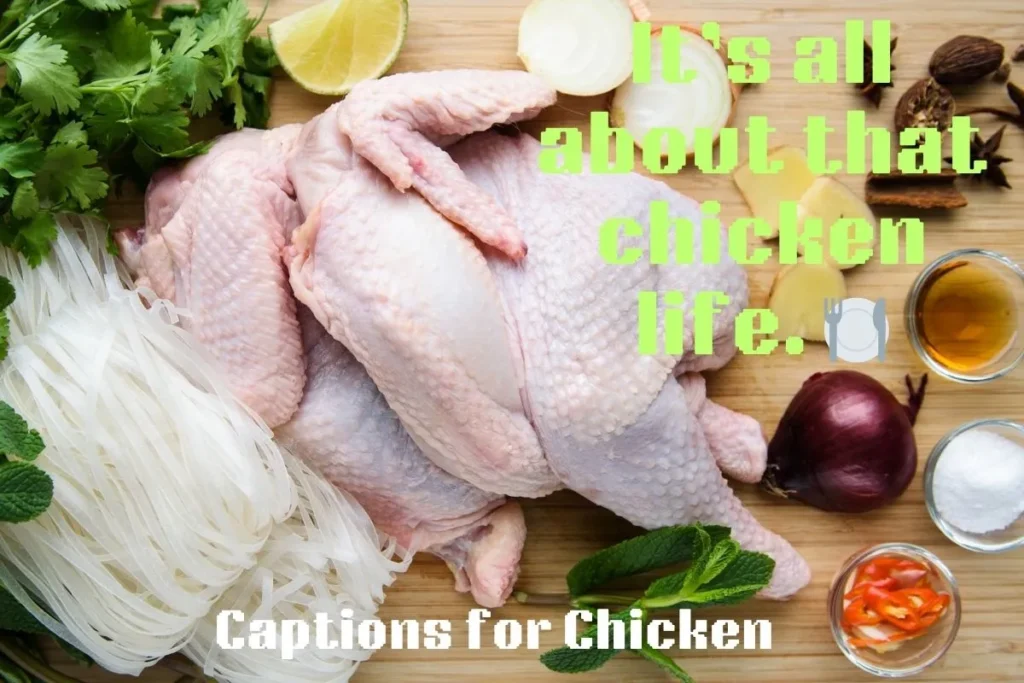 Captions for Chicken