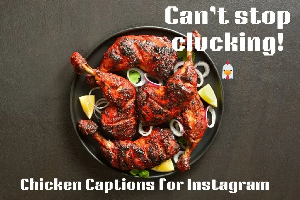 Chicken Captions for Instagram