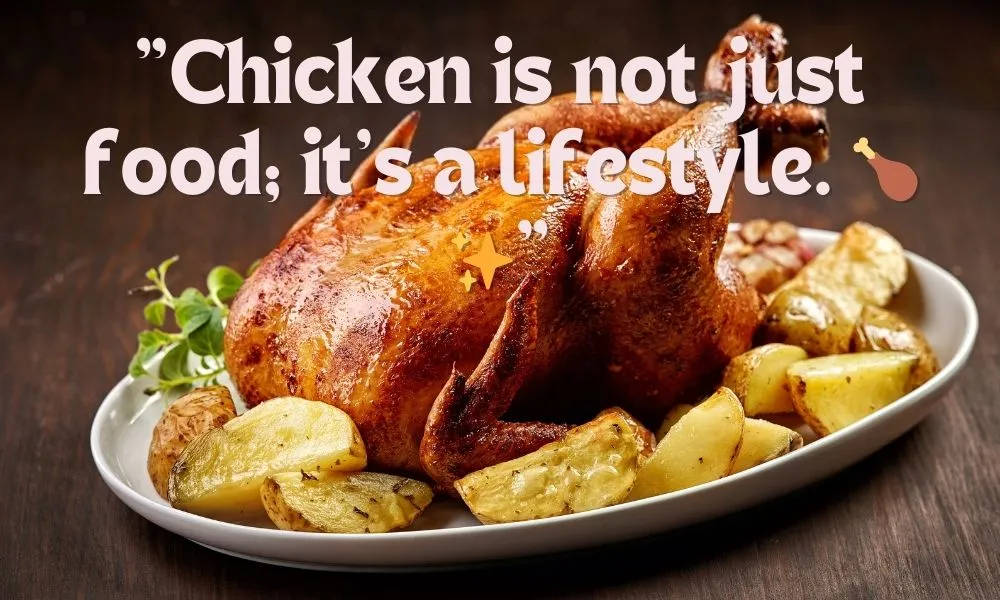 Chicken Lover Quotes 
