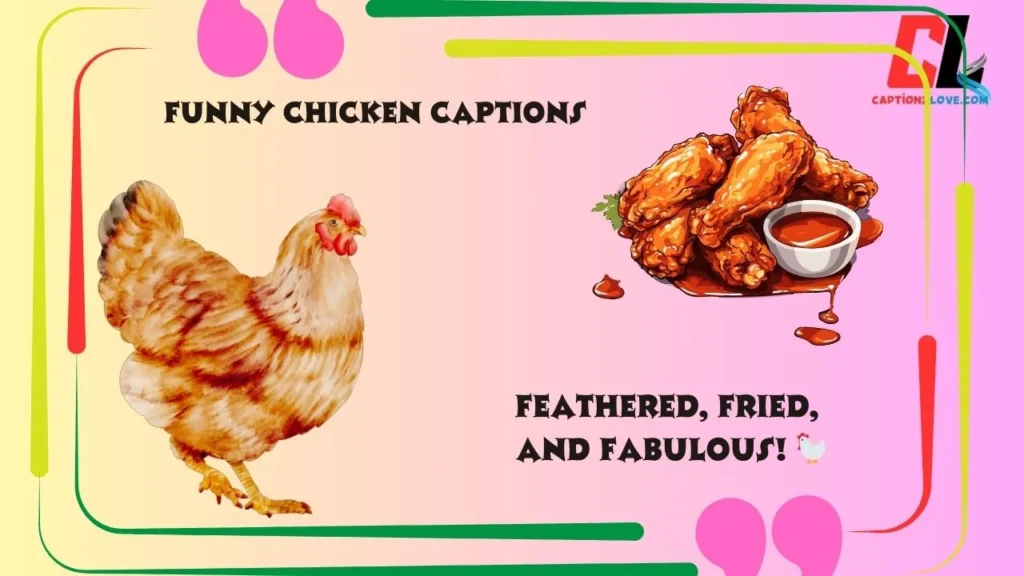 Funny Chicken Captions