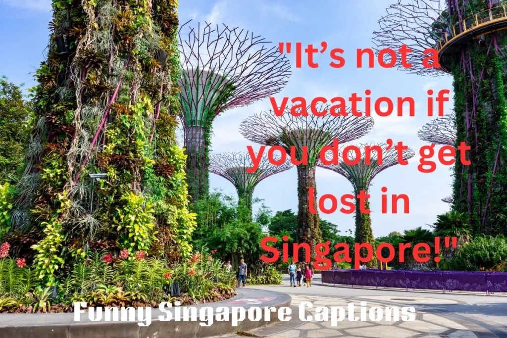 Funny Singapore Captions