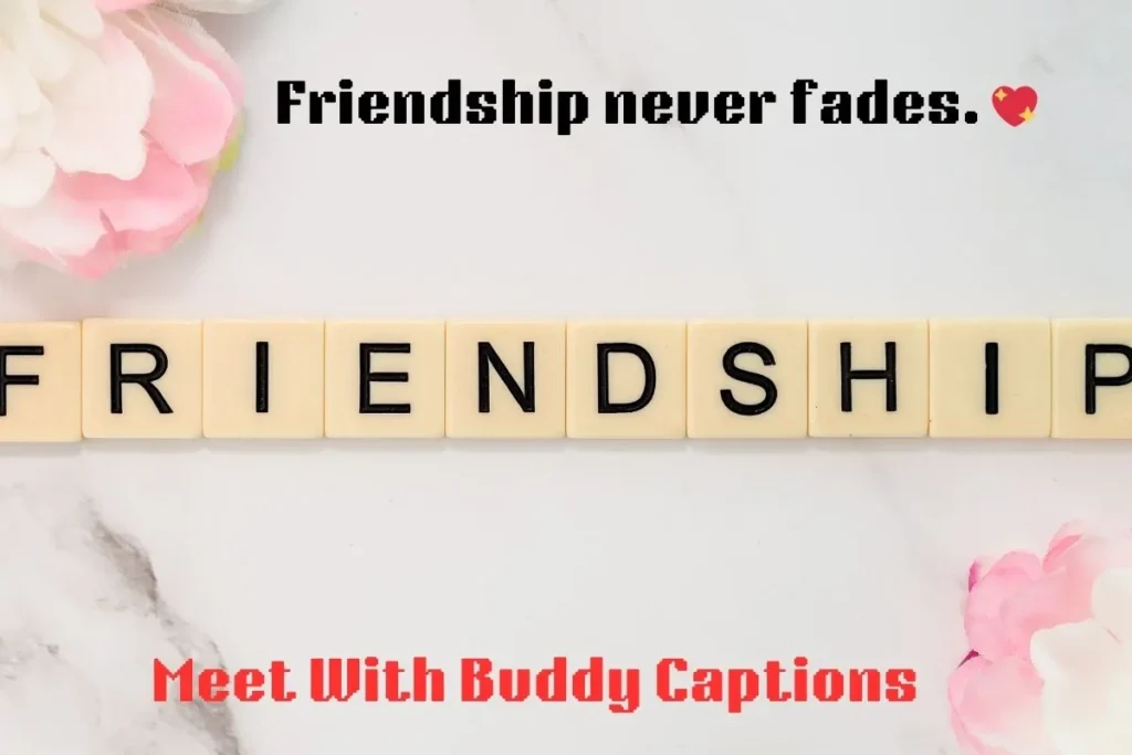 Meet With Buddy Captions