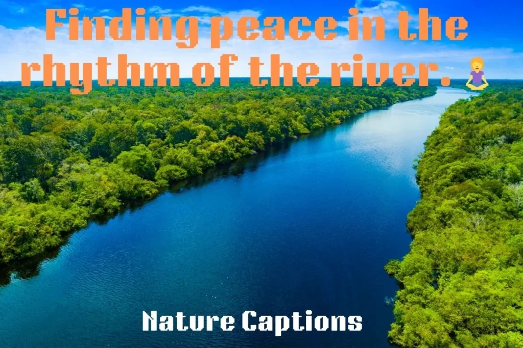 Nature Captions