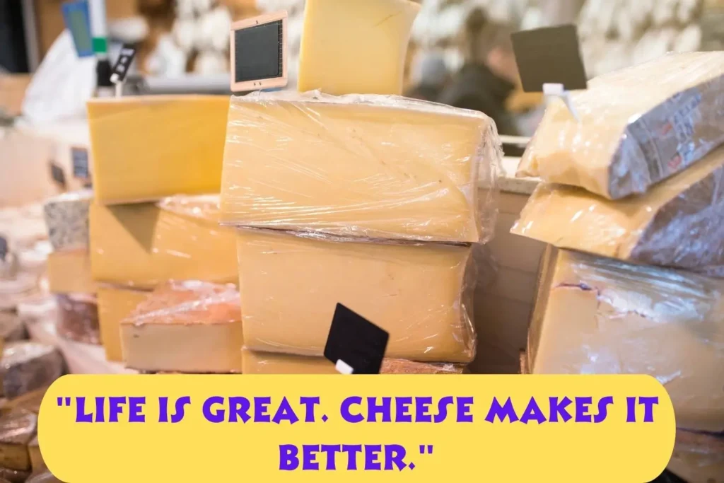 Best Cheese Captions