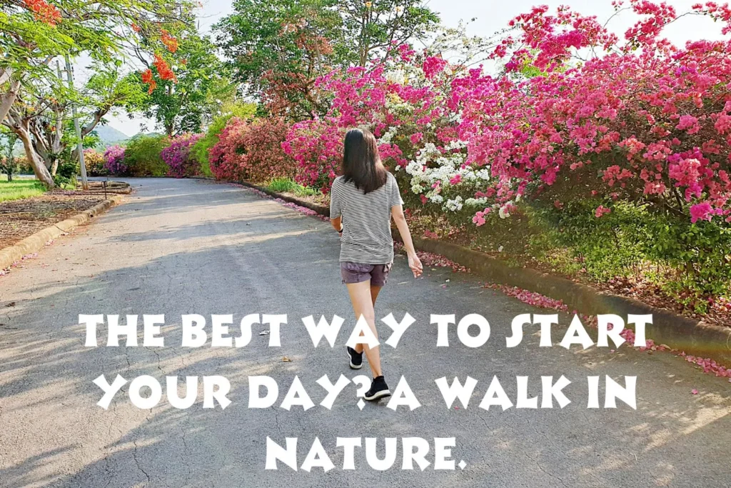 Best Morning Walk Captions
