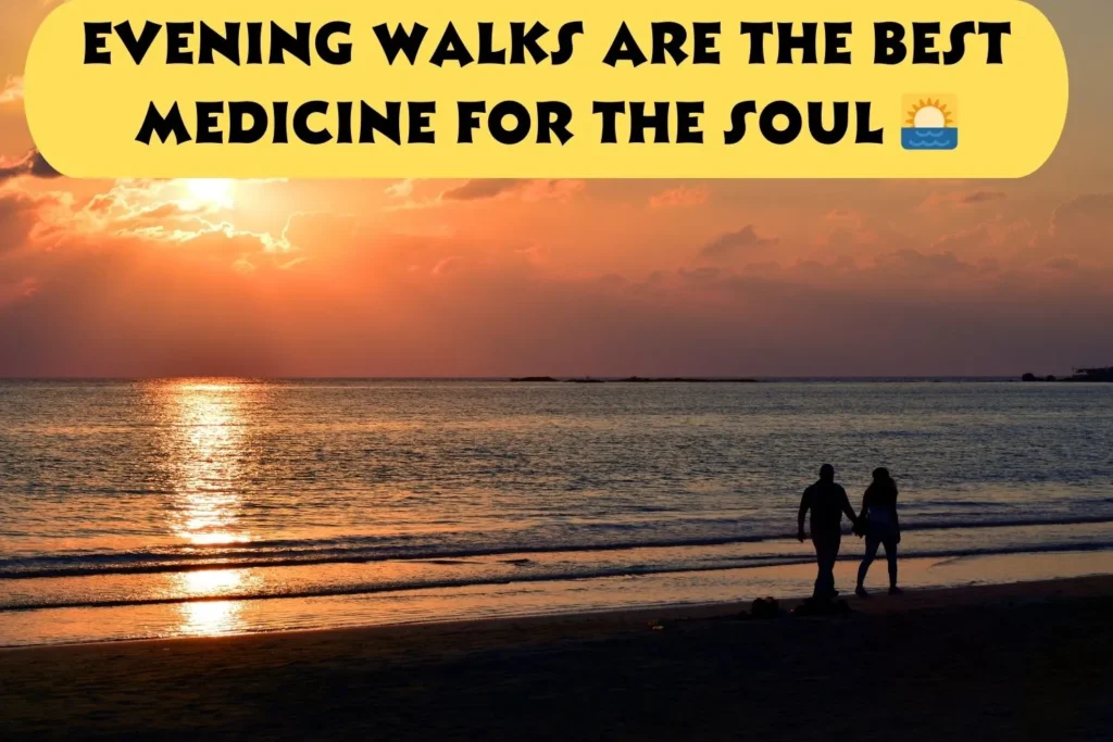 Evening Walk Captions For Instagram