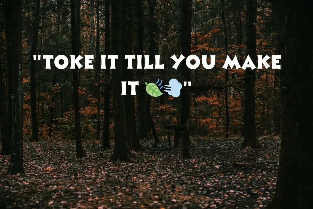Funny Hidden Stoner Captions