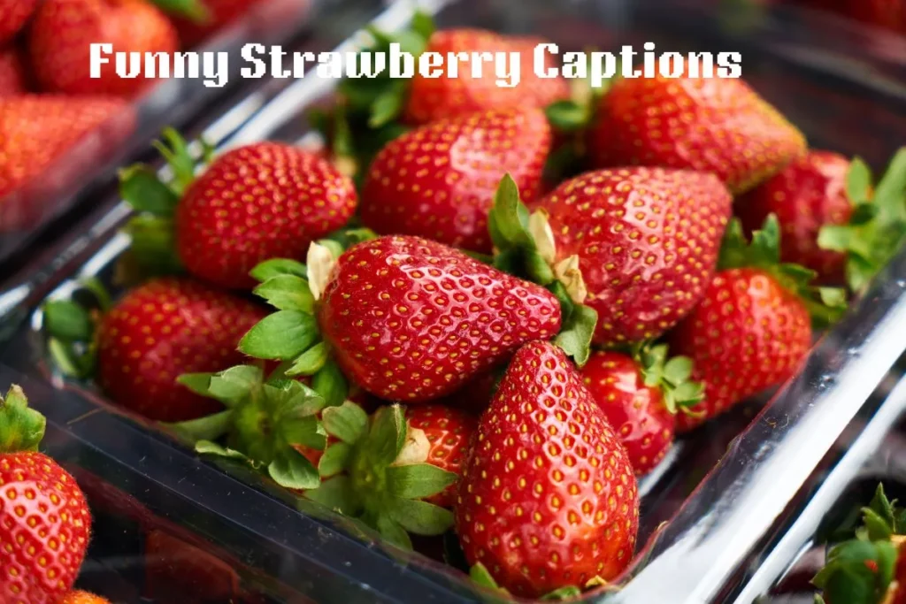 Funny Strawberry Captions 