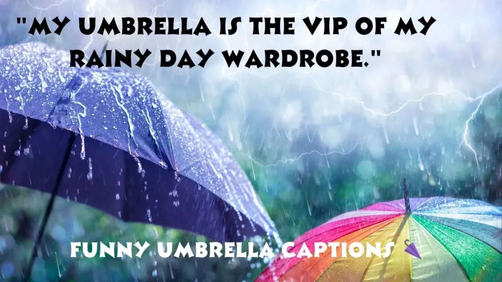 Funny Umbrella Captions 🌂