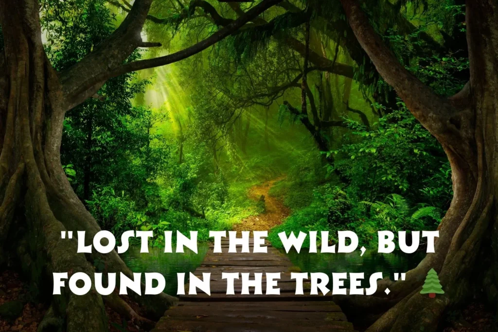 Jungle Captions For Instagram