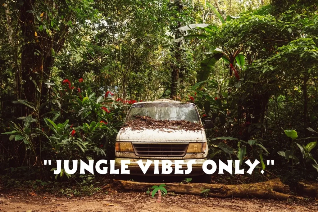 Short Jungle Captions
