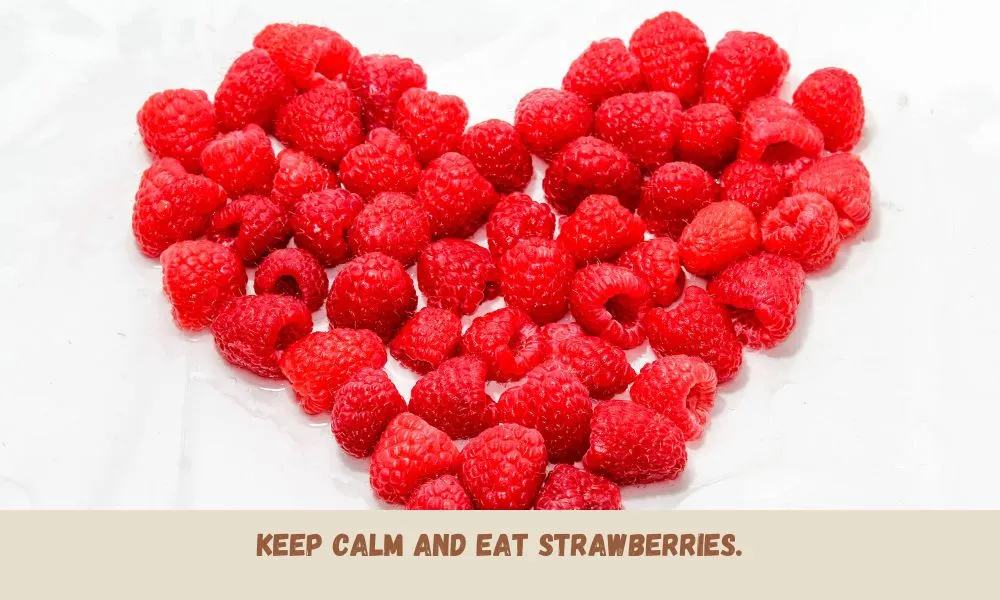 Short Strawberry Captions