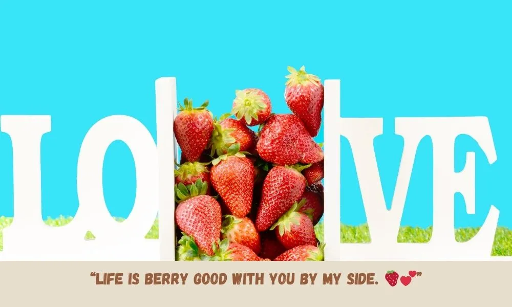 Strawberry Love Quotes