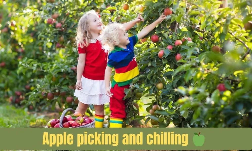 Apple Picking Captions