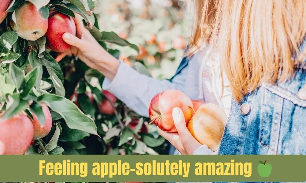 Best Apple Captions for Instagram: