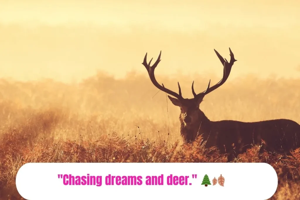 Best Deer Hunting Captions
