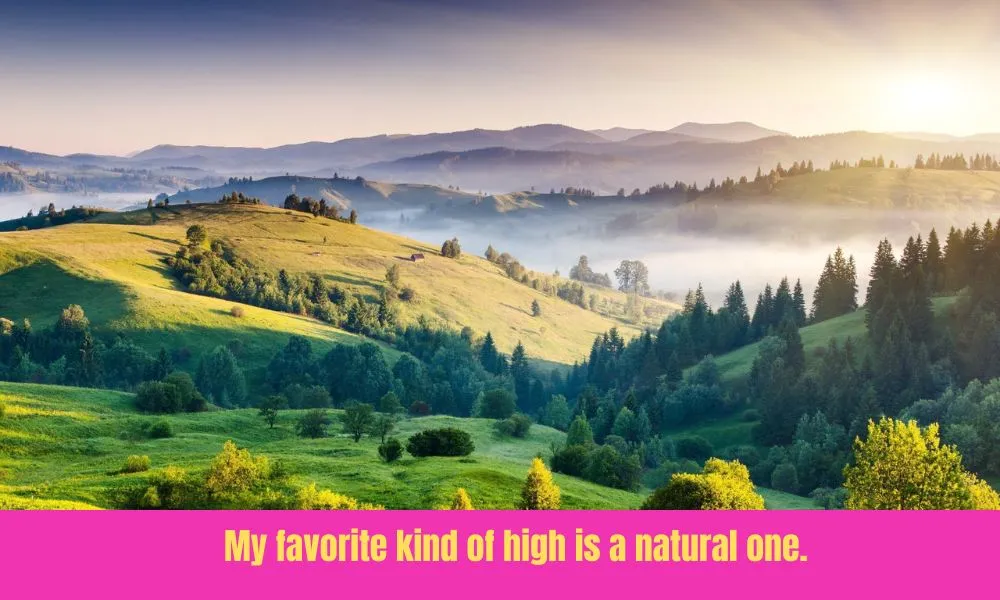 Best Stoner Captions For Instagram