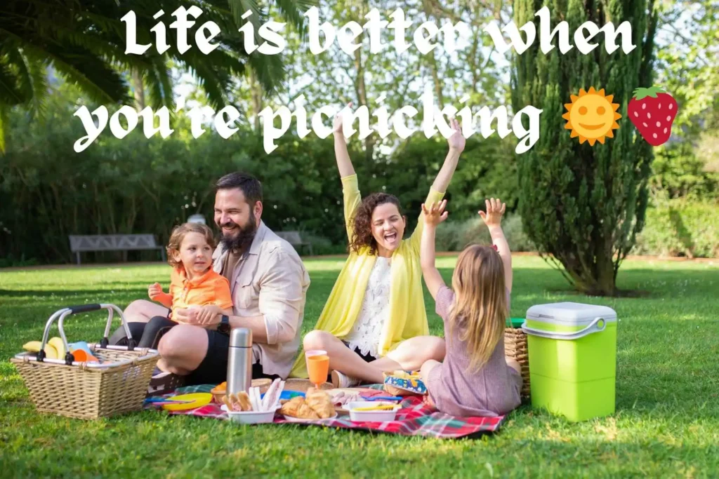 Cool Picnic Captions