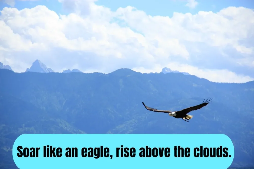 Eagles Captions