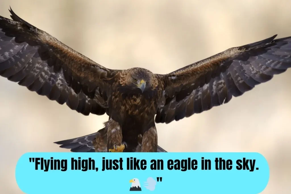 Eagles Picture Captions