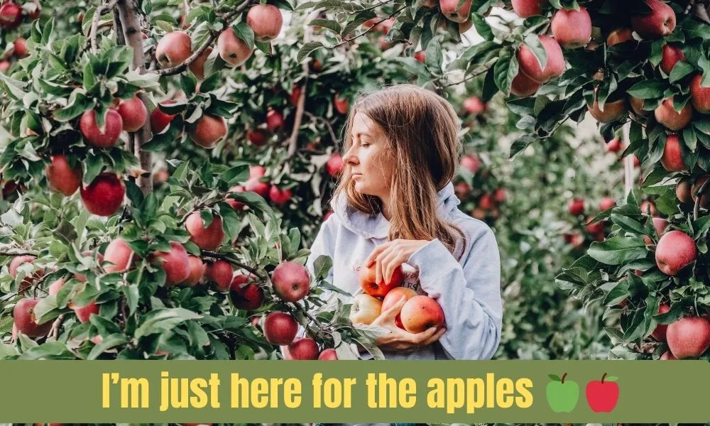 Funny Apple Picking Captions: