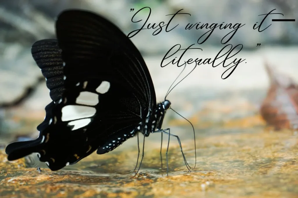 Funny Butterfly Tattoo Captions