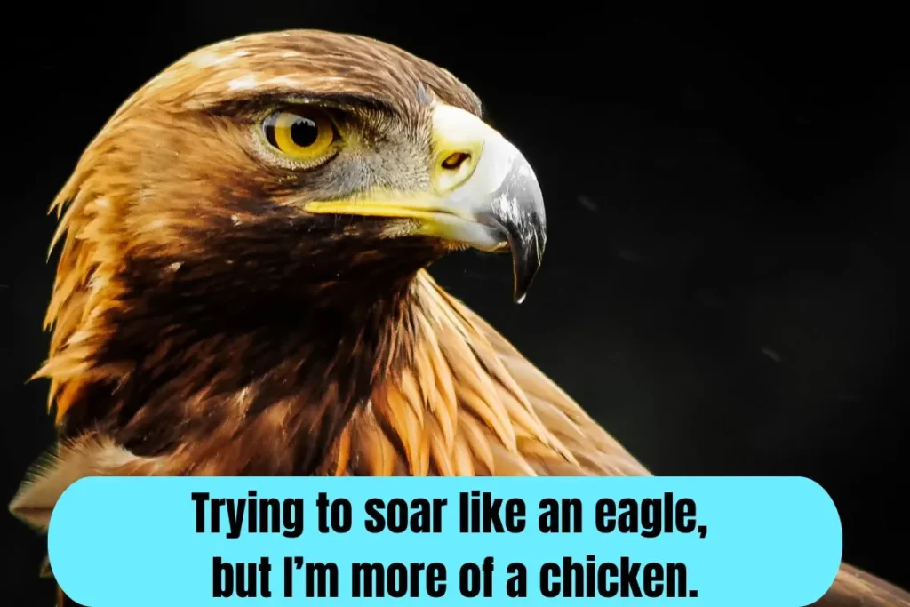Funny Eagles Captions