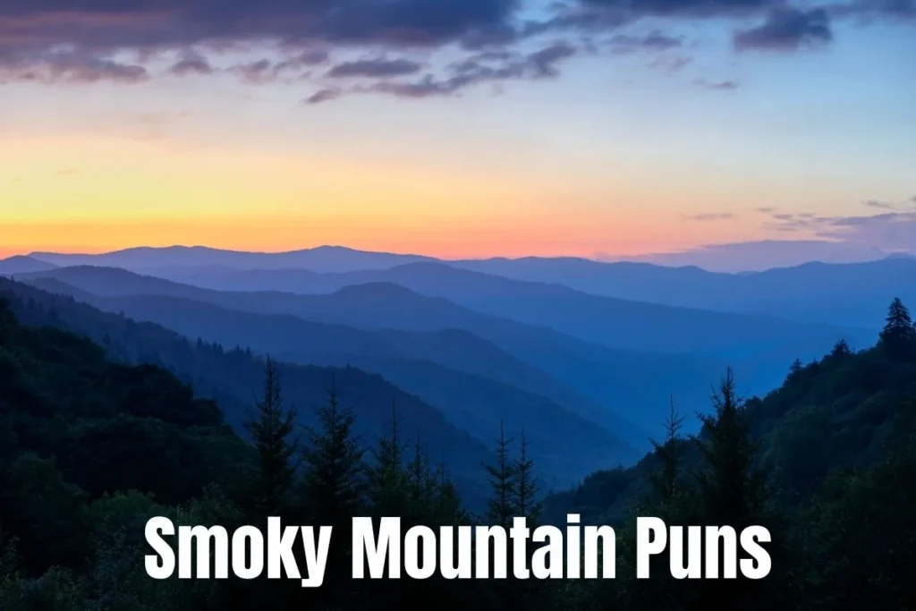 Smoky Mountain Puns