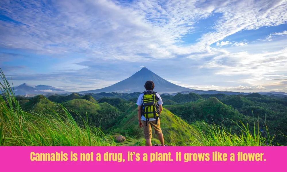 Stoner Quotes For Instagram