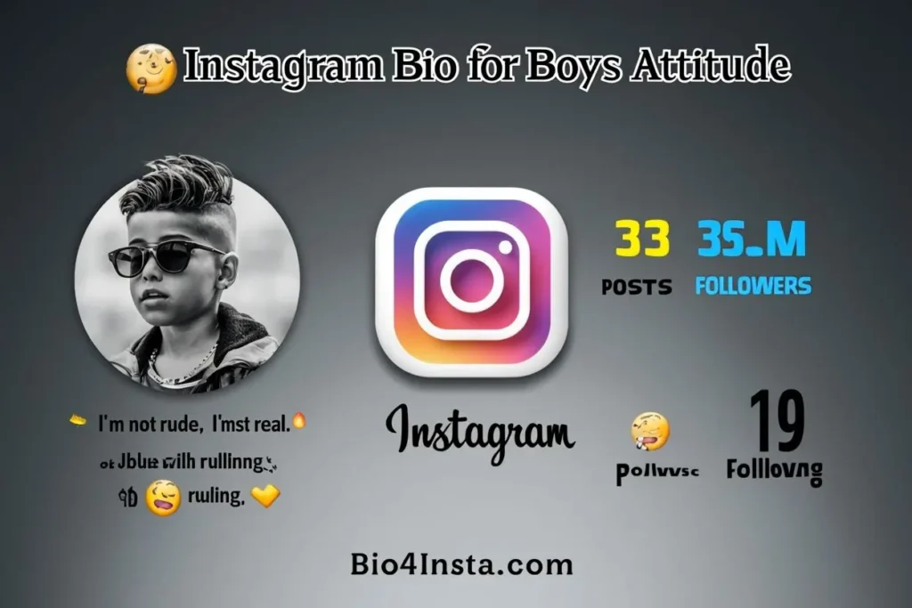 Instagram Bio for Boys Attitude